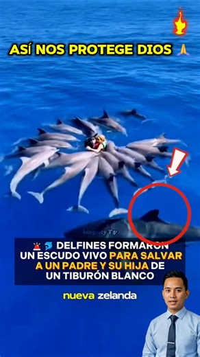 This is how God protects us from danger #Christ #Jesus #church #Christians #faith