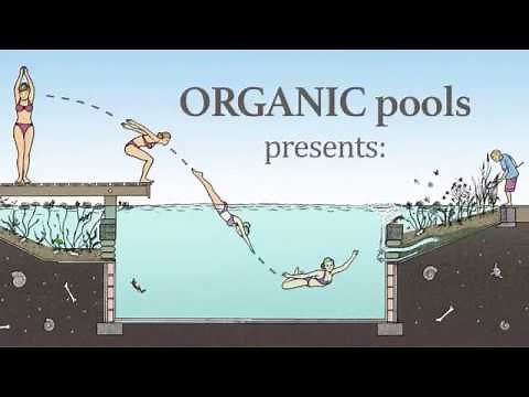 PISCINA ORGÂNICA ( COMO FAZER UMA PISCINA NATURAL)