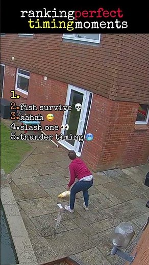 Top 5 Perfect Timing Moments Caught on Camera ⏱️😳