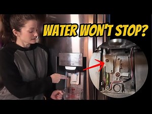 LG Refrigerator Water Won’t Stop? $10 DIY Fix (NO Technician Needed)