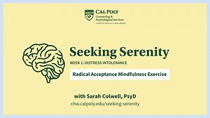 Radical Acceptance Mindfulness Exercise