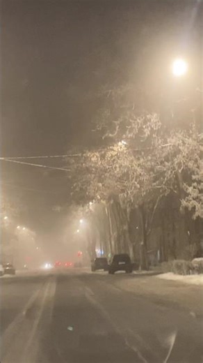 Winter Drive #driving #winter #snowing