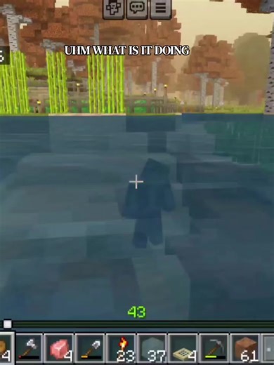 #ballerina #minecraft #bedrockedition #edit