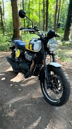Bears like to do it in the wood #royalenfieldbear650 #orwellmotorcycles
