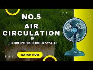 Episode-5 | Air Circulation In Hydroponic Fodder System | Green Fodder Farming