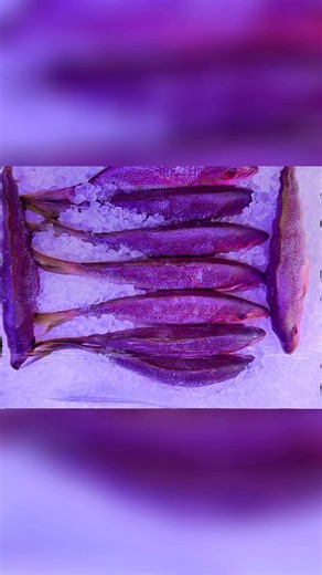 Fresh Local Seafood on Reels