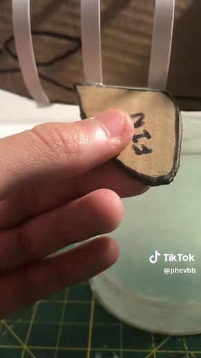 Making a Cardboard Orca for Your Room - Creative DIY Craft