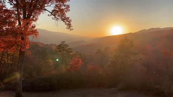Watch wildlife with superb sunsets from a lodge room at Pine Mountain State Resort Park. This is the view from earlier today taken on the patio of Room 242. It’s the perfect place to relax for the night after exploring hiking trails during the day. Plan your trip at https://parks.ky.gov/explore/pine-mountain-state-resort-park-7799. #kystateparks | Kentucky State Parks