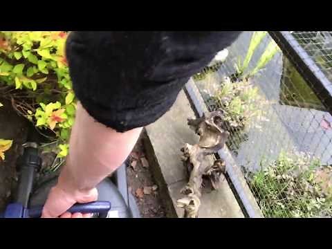 How to clean an Oase FiltoClear 16000