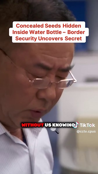 Understanding Airport Border Security Procedures