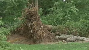 EF-1 tornado touched down in Burlington County, National Weather Service says