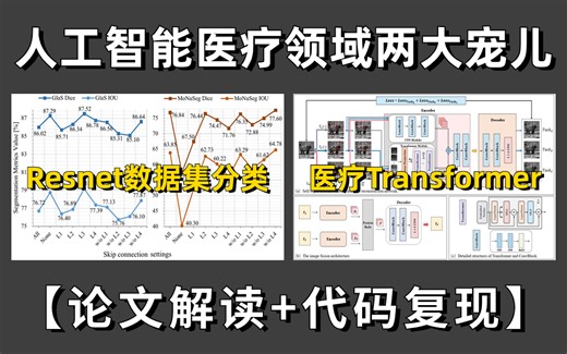 只花三小时就将人工智能在医疗领域应用【Resnet医学数据集分类+Medicaltransformer】用通俗易懂的方式讲明白了！
