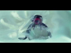 Pingu Has Hiccups