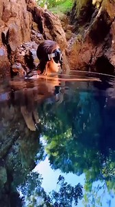 Brazil has so many beautiful hidden gems 💖 Brazil Vilker Travels | Natural Beauty