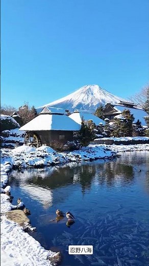 冬の忍野八海と富士山絶景！Oishino Hakai in the Winter ❄️ #fuji #景色 #japan #忍野八海