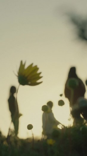 My work (1:1 International work Depth Work and online programs) interweaves that Gaelic (irish) heritage and the Gaelic Otherworld with Jungian Depth Psychology. That world, with its symbols, language, myth, folklore, literature, and heritage, becomes a doorway through which you can enter and explore your own inner landscape. I desire to share with you a felt sense of that ancient culture and spirit and, as a psychotherapist, support how that connection can nourish and guide you on your personal