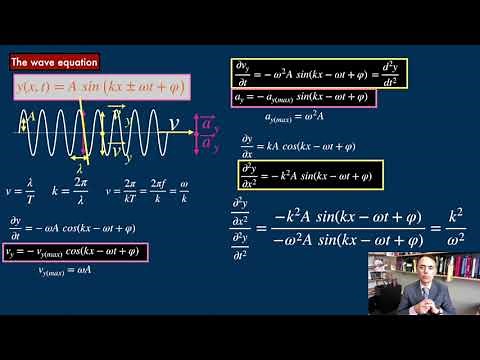The linear wave equation