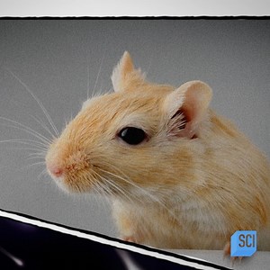 26K views · 419 reactions | The biggest danger to human space travel may also be the smallest. Catch up on the new season of #HowTheUniverseWorks on discovery+ and watch new episodes Sundays on Science Channel. | Science Channel | Facebook