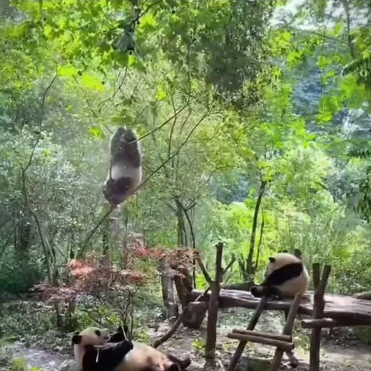 user72637292494 on TikTok