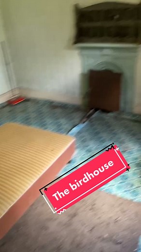 The birds nest #O2HereComesBrighter #fyp #SageTellMe #foryoupage #HAIRFOODHYPE #fypシ #explore #viral #adventure #scare #outdoors #abandonedhouse
