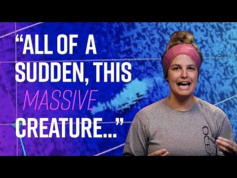 Deep-Sea Creature Photobombs Us While Investigating Seafloor Anomaly