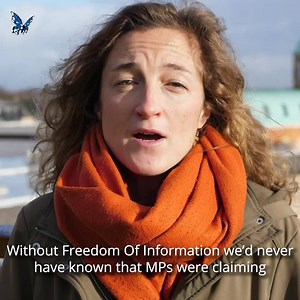 25K views · 606 reactions | Help stop the secrecy, save our Freedom of Information: https://www.opendemocracy.net/en/save-our-foi/ | openDemocracy | Facebook