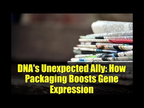 DNA's Unexpected Ally: How Packaging Boosts Gene Expression