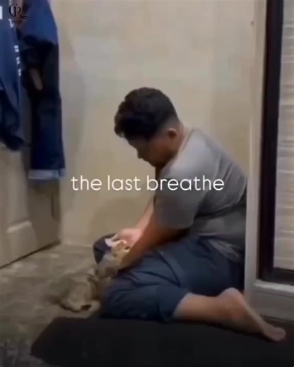 227K views · 15K reactions | This video make me cry  | Ｃｒｙｐｔｉｃ | Facebook