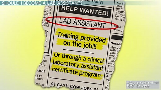 How to Become a Lab Assistant: Step-by-Step Career Guide