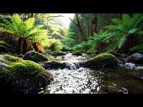 Relaxing Nature Sounds for Sleeping - Natural Calm Forest Waterfall Music Meditation Sound for Study