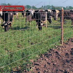 [Hot Item] Metal Woven Farm Fence Livestock Fencing 6 FT Cattle Fence