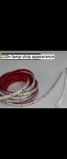 100M 220V 5050 SMD Smart Wifi Neon RGB Controller RGBW Flex Flexible Tira De Luz Led IP65 Strip Light Smart Strip Lights