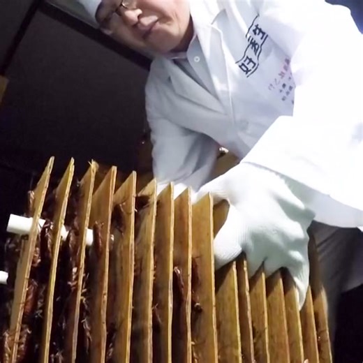 China's Massive Cockroach Farming Industry Revealed