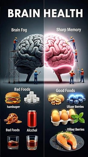Brain Fog vs Sharp Memory | What Actually Fuels Your Mind