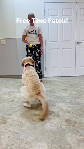 NEADS Service Dog in Training Betty and Leah took a break from modeling the super cute Sleep. Play. Love. PJ set to play some Free Time Fetch! https://shop.neads.org/pj-set.html | NEADS World Class Service Dogs