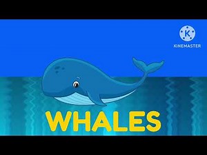 Learn The ABC’s “W” is for “Whale”