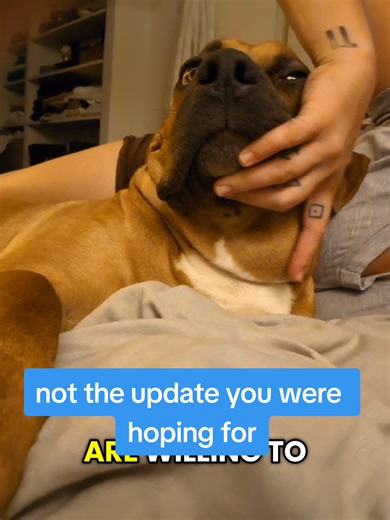 Urgent Update on My Puppy’s Health Challenges