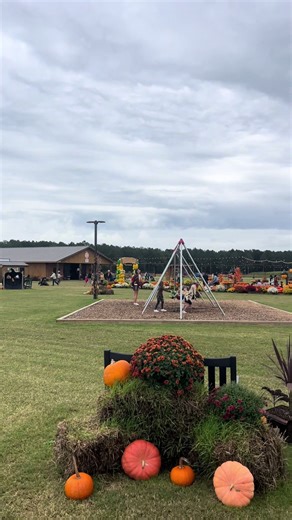 Fall festivities have begun 🎃 🍂 #fallfestivities #fall #sarasfarmadventure