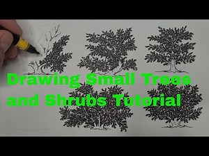 How to Draw Small Trees and Shrubs | Easy Step by Step Art Tutorial