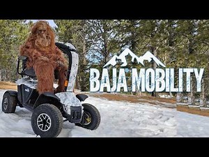 🦍🪵Best Outdoor Performance Electric Mobility Scooters of 2025