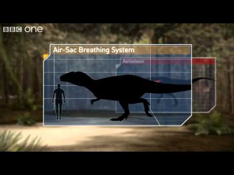 Breathing Techniques - Planet Dinosaur - Episode 1 - BBC