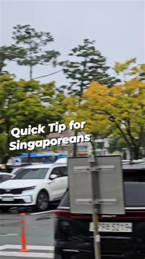 4.5K views · 351 reactions | Quick tip for Singaporeans going Jeju Island | Jeremy See | Facebook