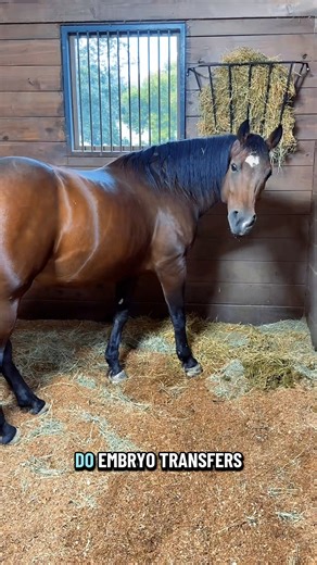 748K views · 36K reactions | I’m experimenting! | Katie Van Slyke | Facebook