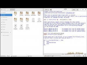 Oracle JDK 11 LTS Installation on Suse Linux Enterprise Server 12 and set JAVA_HOME to all users
