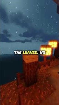 Whatever you do, DON’T look at your window.