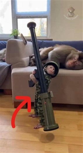 Baby Monkey Tries the “Wake-Up” Trick (Again!) the Hard Way… It Fails 🤣😂 #funny #monkey #shortvideo