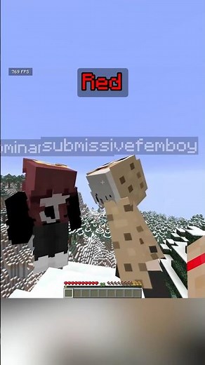 Minecraft Touch The Random Color Challenge