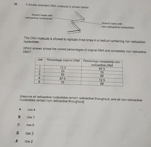 26 A doible stranded ONA molecule is shown below.This DNA mol... | Filo
