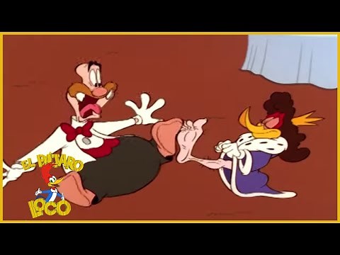 El Pájaro Loco Episodio Completo | Alboroto real de Wally | Dibujos Animados | Caricaturas
