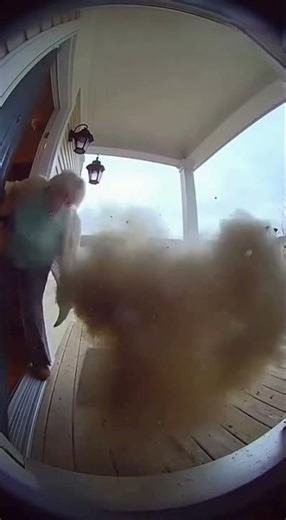 She Thought the Cat Was Cute… Until It EXPLODED 😳🐈💥